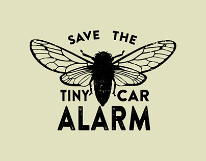 Save the Tiny Car Alarm