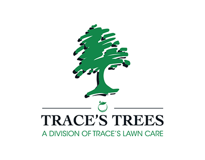 Trace's Trees Logo Design