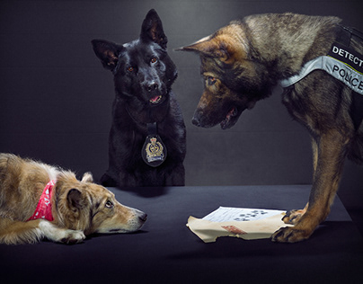 Waterloo Police K9 Dog Charity Calendar 2020