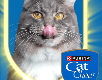 Storie de campaña publicitaria Cat Chow