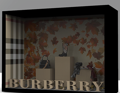 Burberry vitrine proposal