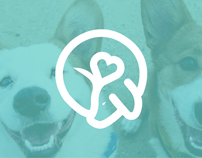 Branding - O'Laika - Productos Únicos para Perros