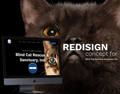 Redesign concept for Blind Cat Rescue & Sanctuary, Inc.