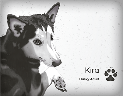 Illustrations of Kira a husky dog