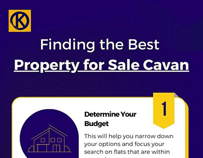 Finding the best Property for sale Cavan