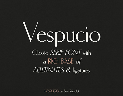 Vespucio - Serif Font