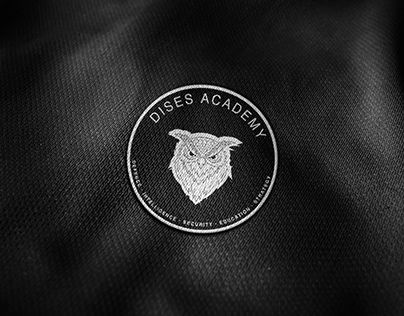 DISES Academy Logowork