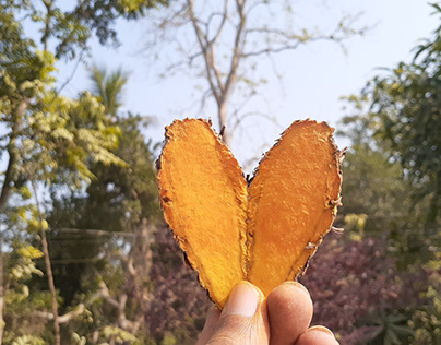 Aesthetic photography of turmeric like a Love sign.