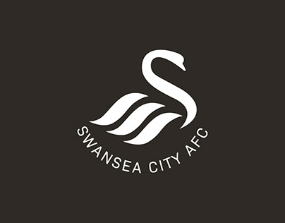 Swansea City AFC Work
