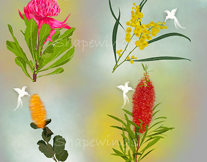 Australian Flower collection