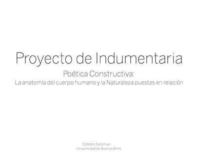 Proyecto de Diseño: Poética Constructiva- Saltzman