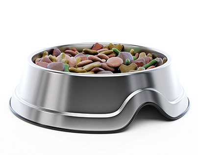 Pet Food Bowl 3D Model