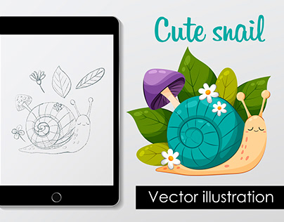 Vector illustration of a small garden snail.