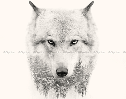 Animals faces with double exposure effect