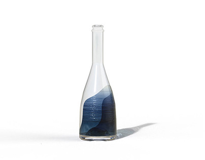 Glass bottle / contemplate nature