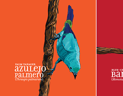 Calendar Birds of Medellín