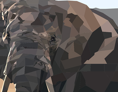 Low Poly Image