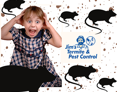 Looking for Specialised Rat Pest Control in Perth