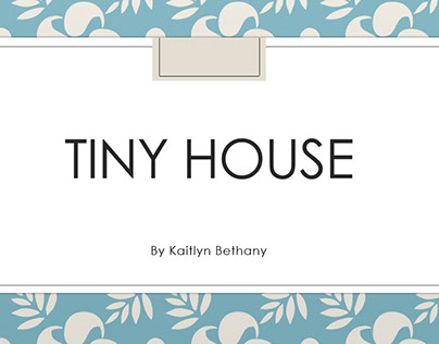 Tiny House Environmentally Friendly