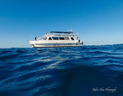 Out to Sea with Body Glove Cruises
