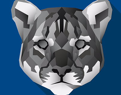 Polygonal vectorial Puma