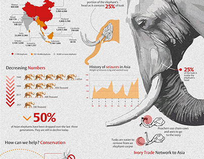Data Visualization (Asian Elephants on the Brink)