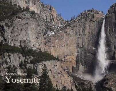 Scenes From Yosemite