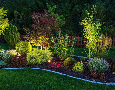 Landscaping in Tallahassee