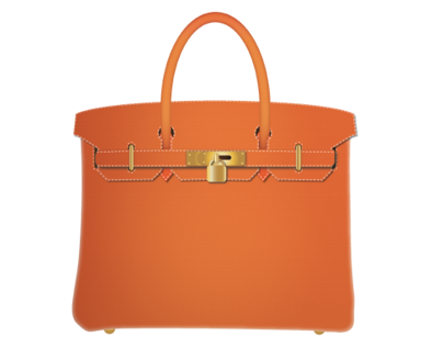Hermès Birkin Bag  Icon