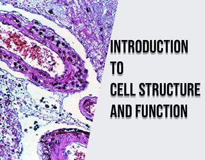 Introduction to Cell Structure and Function