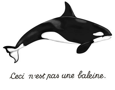 Ceci N'est Pas Une Baleine (This is not a whale)