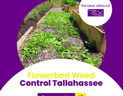 Flowerbed Weed Control Tallahassee