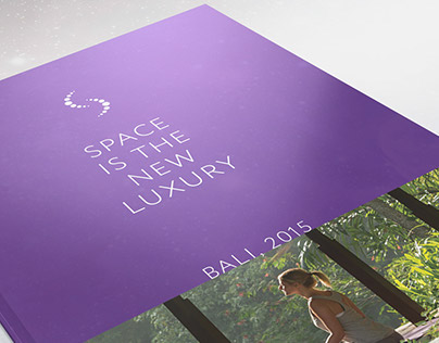 Dominant Space Retreat Brochures