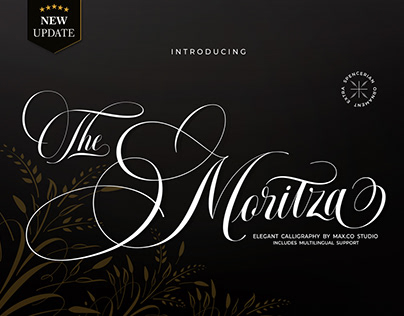 The Moritza Script - Extra Ornamental