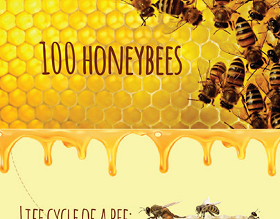 Infographic 100 bees