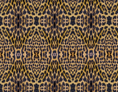 Cheetah Pattern