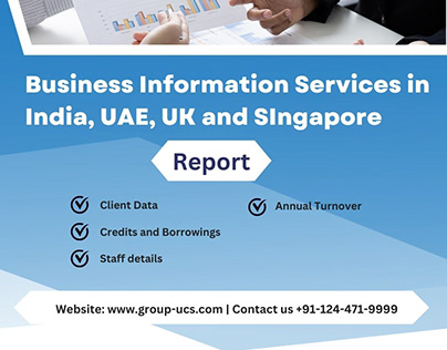 Business Information Services in India, UAE and UK