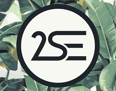 2SE Logo Design