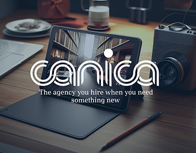 Pagina web Canica Agencia de Marketing
