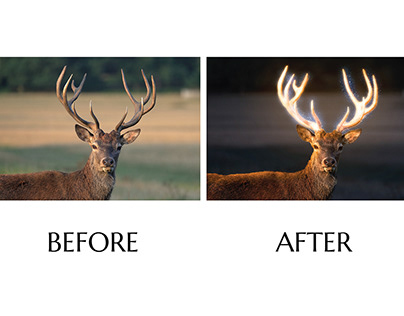 Red Deer glowing effect