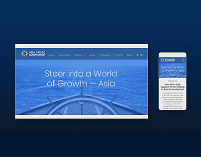 Website design for cruise industry organisation