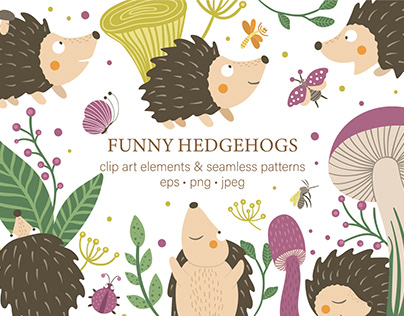 Funny Hedgehogs