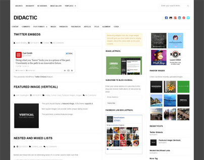 Didactic WordPress Theme