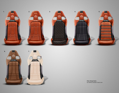 Lotus Elise Probax seats.