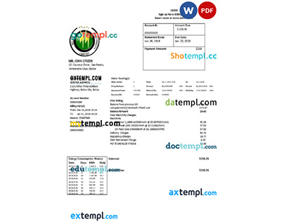 Belize Electricity Limited utility bill template