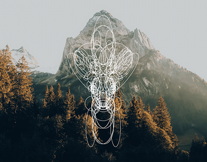 deer – illustration