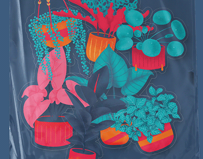 Plants | Illustrations