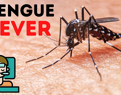 Few Things To Know About Dengue Fever
