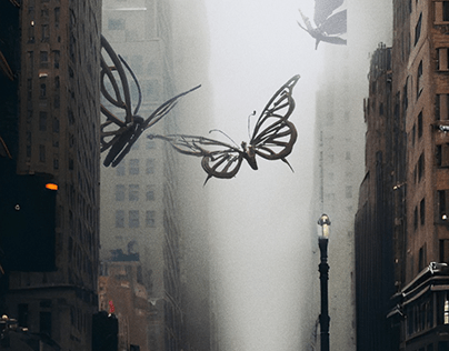 Butterflies of New York