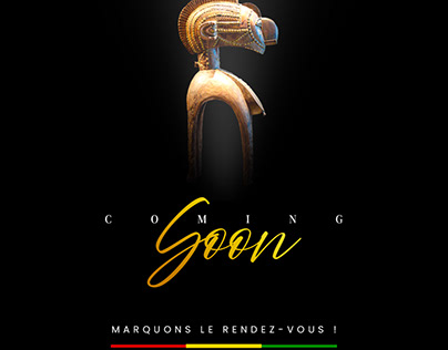 Affiches inauguration Toro bespoke Guinée Conakry